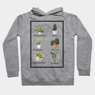 Favourite Houseplants Hoodie